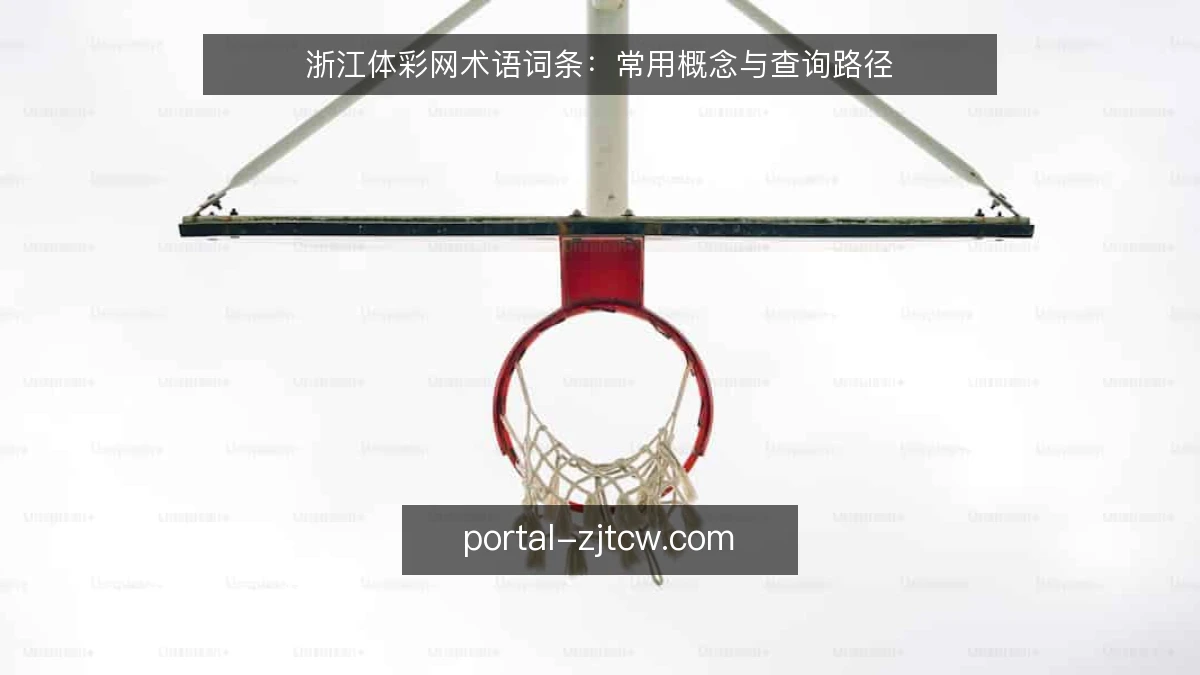 浙江体彩网术语词条：常用概念与查询路径