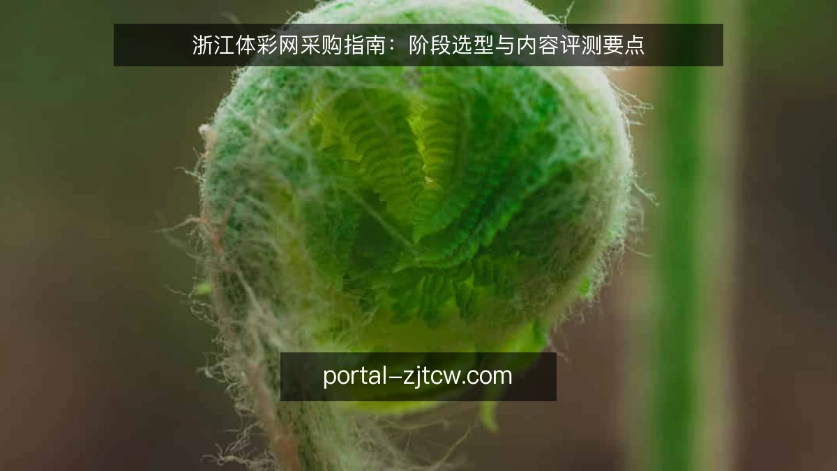 浙江体彩网采购指南：阶段选型与内容评测要点
